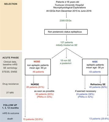 Specific profiles of new-onset vs. non-inaugural status epilepticus: From diagnosis to 1-year outcome